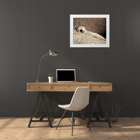Dog Tired White Modern Wood Framed Art Print by Dratfield, Jim