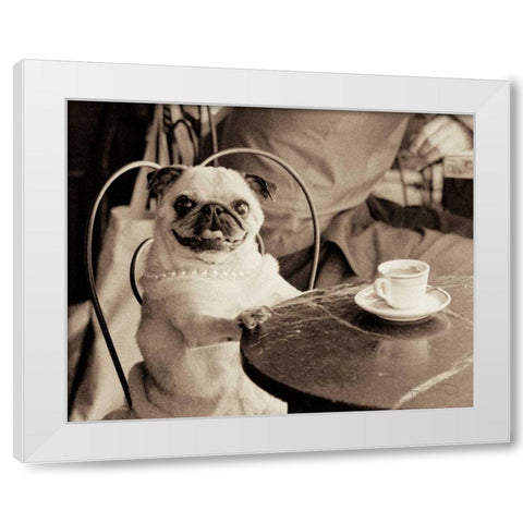 Cafe Pug White Modern Wood Framed Art Print by Dratfield, Jim