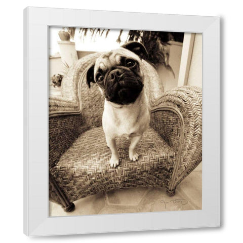 Wonder White Modern Wood Framed Art Print by Dratfield, Jim