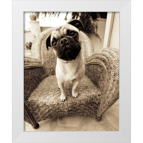 Wonder White Modern Wood Framed Art Print by Dratfield, Jim