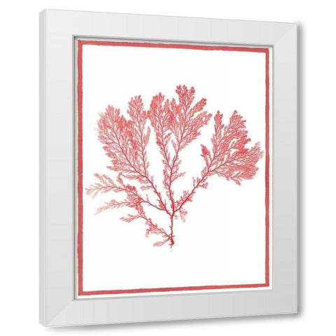 Sea Things I White Modern Wood Framed Art Print by Chilton, Sarah E
