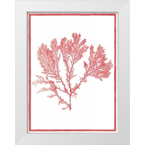 Sea Things I White Modern Wood Framed Art Print by Chilton, Sarah E