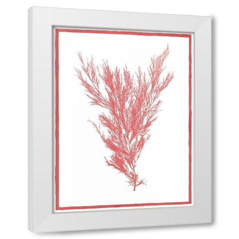 Sea Things II White Modern Wood Framed Art Print by Chilton, Sarah E