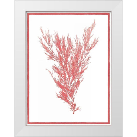 Sea Things II White Modern Wood Framed Art Print by Chilton, Sarah E