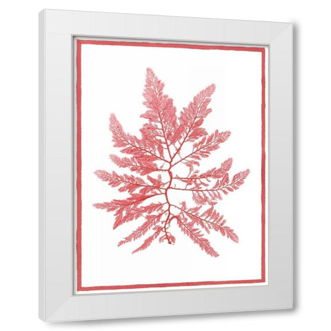 Sea Things III White Modern Wood Framed Art Print by Chilton, Sarah E