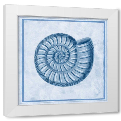 Blue Nautilus A White Modern Wood Framed Art Print by Chilton, Sarah E