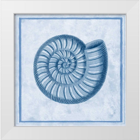 Blue Nautilus A White Modern Wood Framed Art Print by Chilton, Sarah E