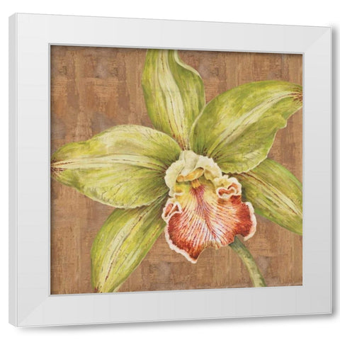 Aloha Beauty II White Modern Wood Framed Art Print by Shelby, Judy