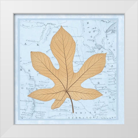 Natures Profile A White Modern Wood Framed Art Print by Bannister, Cory