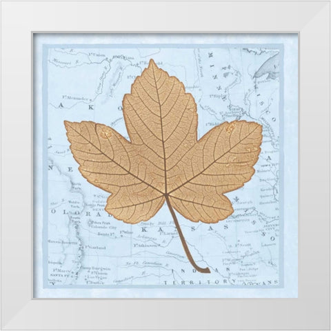 Natures Profile C White Modern Wood Framed Art Print by Bannister, Cory