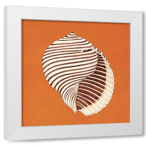 Cayman Quartet A White Modern Wood Framed Art Print by Shelby, Judy