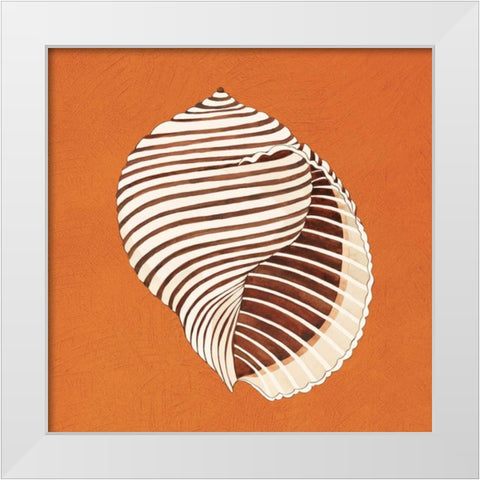 Cayman Quartet A White Modern Wood Framed Art Print by Shelby, Judy