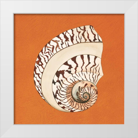 Cayman Quartet B White Modern Wood Framed Art Print by Shelby, Judy