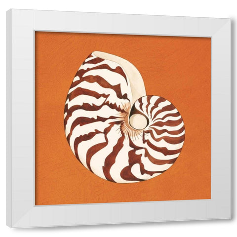 Cayman Quartet C White Modern Wood Framed Art Print by Shelby, Judy