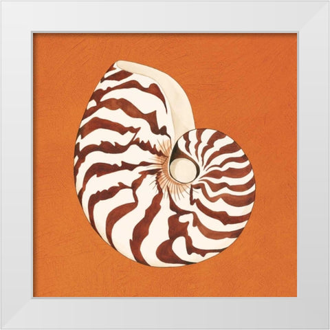 Cayman Quartet C White Modern Wood Framed Art Print by Shelby, Judy