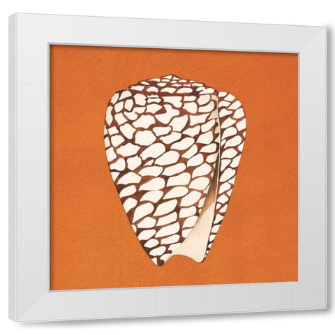 Cayman Quartet D White Modern Wood Framed Art Print by Shelby, Judy