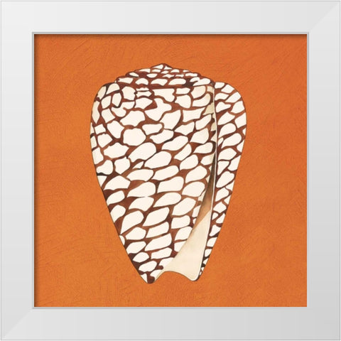 Cayman Quartet D White Modern Wood Framed Art Print by Shelby, Judy