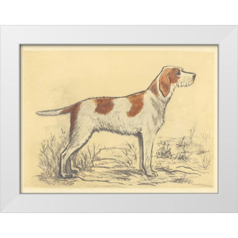 Hunting Dogs-Griffon White Modern Wood Framed Art Print by Collot, Andres