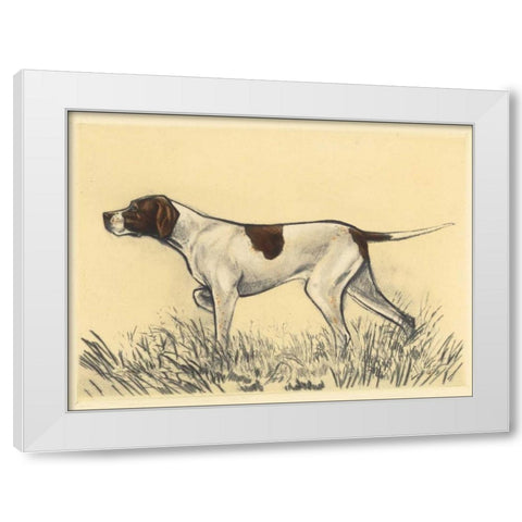 Hunting Dogs-Pointer White Modern Wood Framed Art Print by Collot, Andres