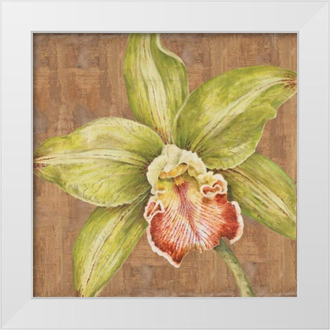 Aloha Beauty Petites B White Modern Wood Framed Art Print by Shelby, Judy