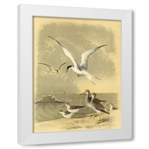 Coastal Dwellers I White Modern Wood Framed Art Print by Steele, Horace