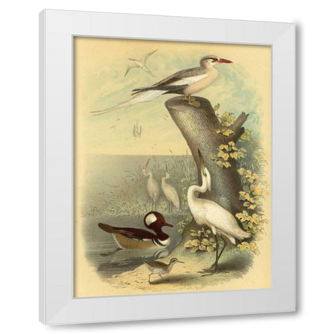 Coastal Dwellers II White Modern Wood Framed Art Print by Steele, Horace