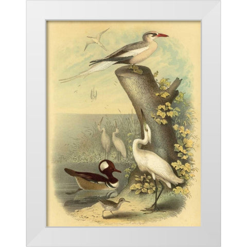 Coastal Dwellers II White Modern Wood Framed Art Print by Steele, Horace