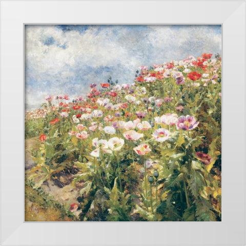 Seaside Poppies White Modern Wood Framed Art Print by Egner| Marie