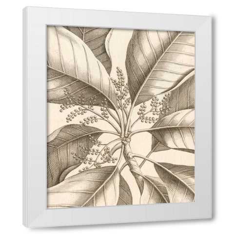 Tropical Connection II White Modern Wood Framed Art Print by Van Houtte, Louis