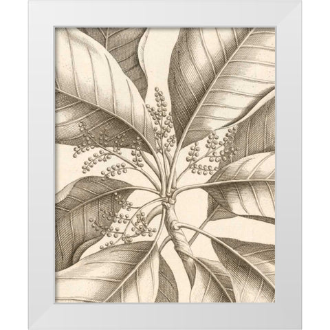 Tropical Connection II White Modern Wood Framed Art Print by Van Houtte, Louis