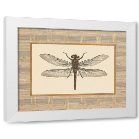 Delicate Dancer I White Modern Wood Framed Art Print by Chilton, Sarah E