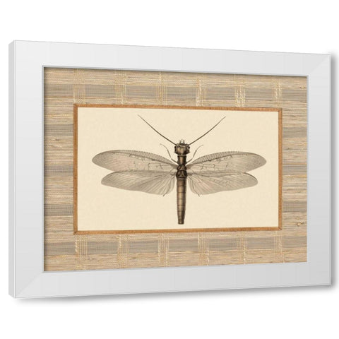 Delicate Dancer II White Modern Wood Framed Art Print by Chilton, Sarah E