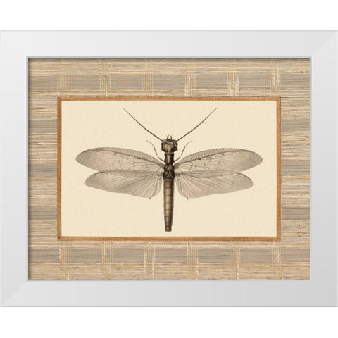 Delicate Dancer II White Modern Wood Framed Art Print by Chilton, Sarah E