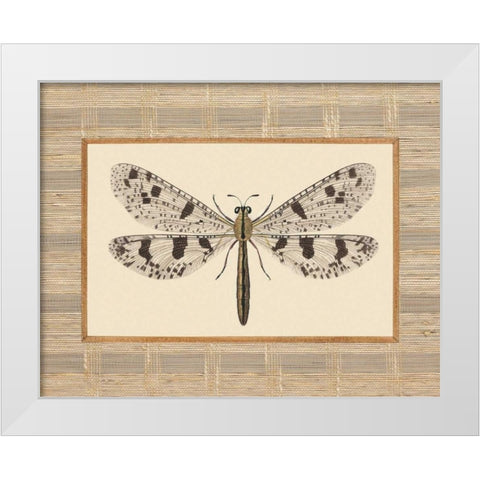 Delicate Dancer III White Modern Wood Framed Art Print by Chilton, Sarah E