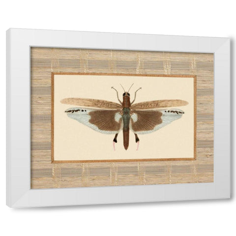 Delicate Dancer IV White Modern Wood Framed Art Print by Chilton, Sarah E