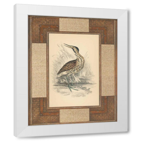 Marshland Bittern White Modern Wood Framed Art Print by Reynolds, Alastair