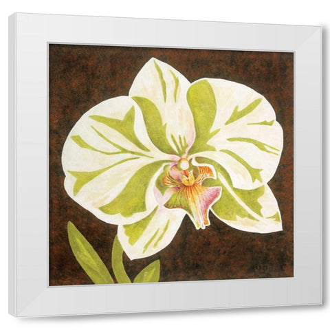 Surabaya Orchid Petites A White Modern Wood Framed Art Print by Shelby, Judy