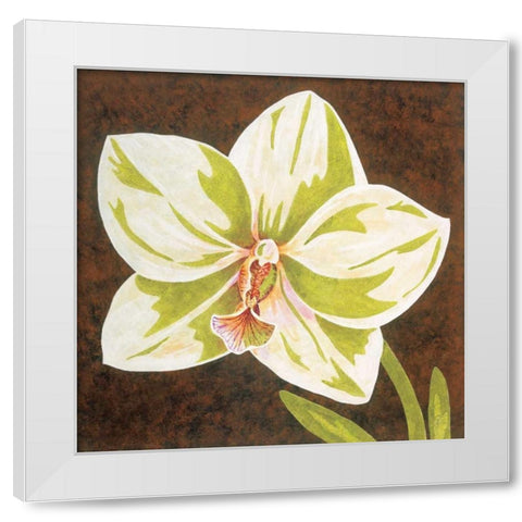 Surabaya Orchid Petites B White Modern Wood Framed Art Print by Shelby, Judy