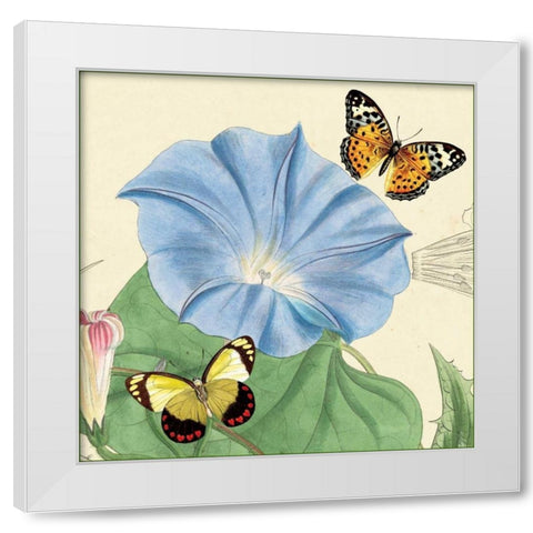 Morning Glory White Modern Wood Framed Art Print by van Houtte, Louis