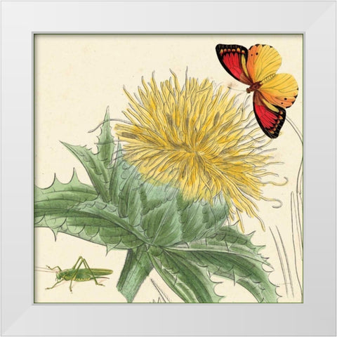 Star Thistle White Modern Wood Framed Art Print by van Houtte, Louis