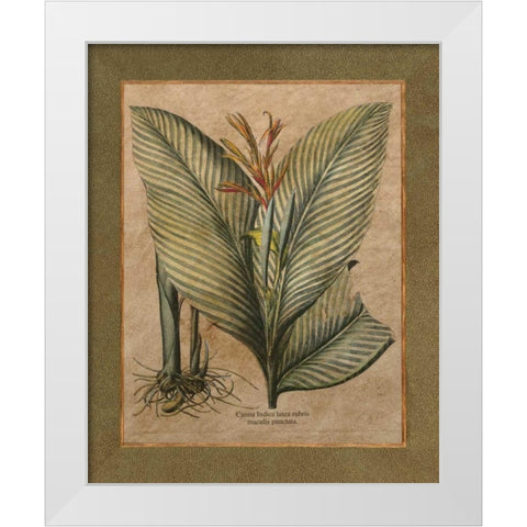 Valencia II White Modern Wood Framed Art Print by Alexander, Zachary