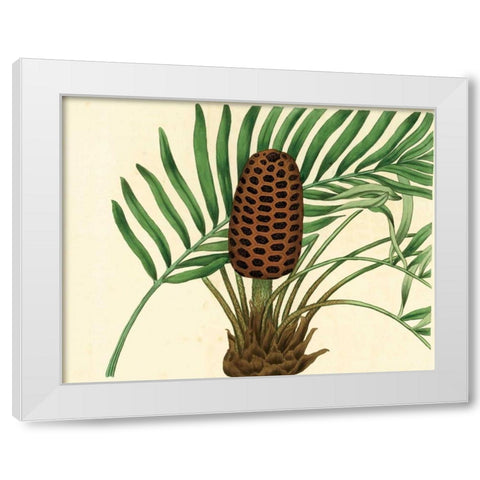 Palmetto III White Modern Wood Framed Art Print by Alexander, Zachary