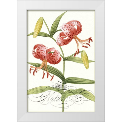 Modern Atelier II White Modern Wood Framed Art Print by Chilton, Sarah E