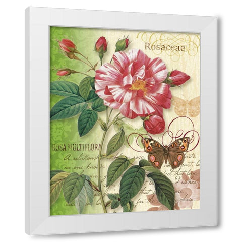 Rose Splendor I White Modern Wood Framed Art Print by Han, Ching