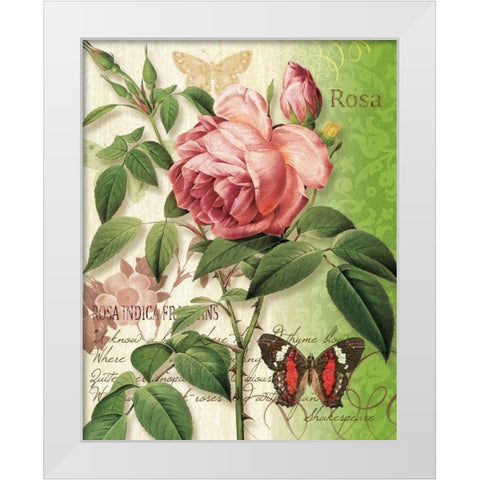 Rose Splendor II White Modern Wood Framed Art Print by Han, Ching