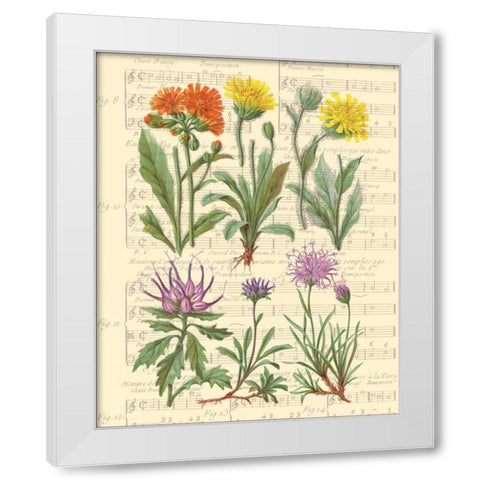Allegro II White Modern Wood Framed Art Print by Paschal, Irene