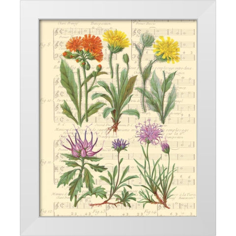 Allegro II White Modern Wood Framed Art Print by Paschal, Irene