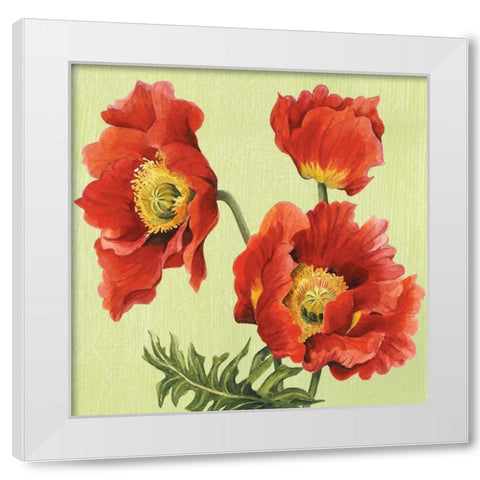 Chelsea Sensation II White Modern Wood Framed Art Print by Shelby, Judy