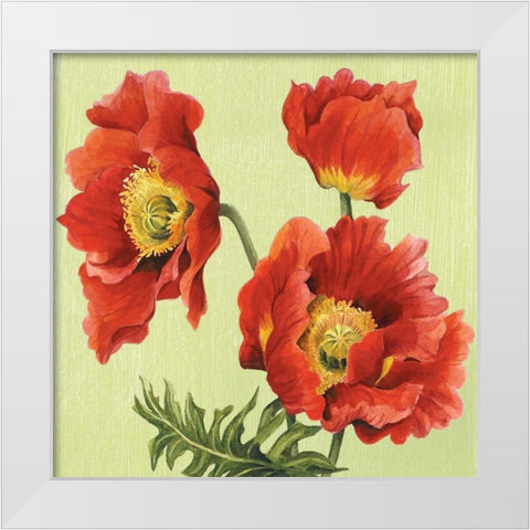 Chelsea Sensation II White Modern Wood Framed Art Print by Shelby, Judy