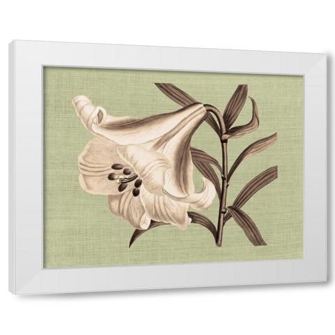 Regence Lily III White Modern Wood Framed Art Print by Chilton, Sarah E